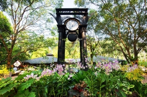 GIARDINI - Le meraviglie del National Orchid Garden a Singapore