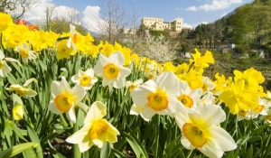 Ai Giardini di Sissi una primavera piena di appuntamenti