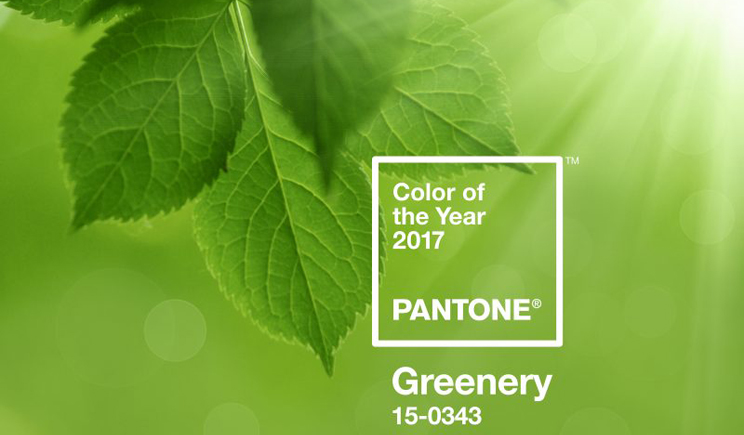 Pantone greenery colour 20147 colore