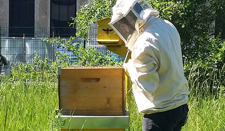 api milano via Padova