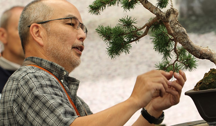 corsi crespi bonsai maestro Nobuyuki Kajiwara min