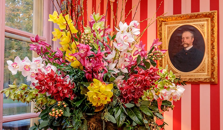 cymbidium keukenhof 2018 11 cover min