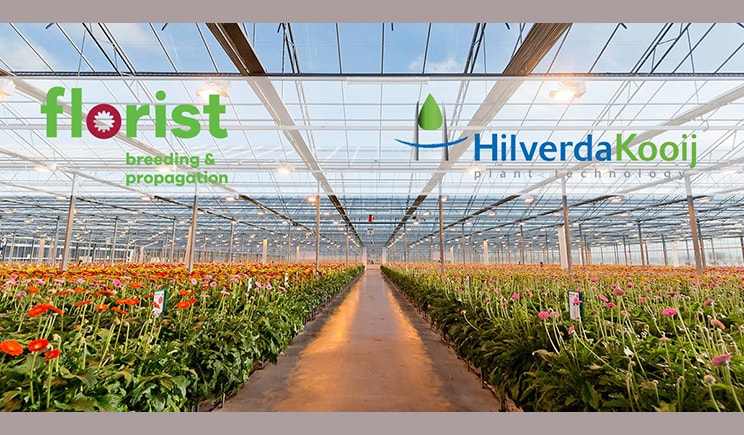 fusione florist hilverdakooij min