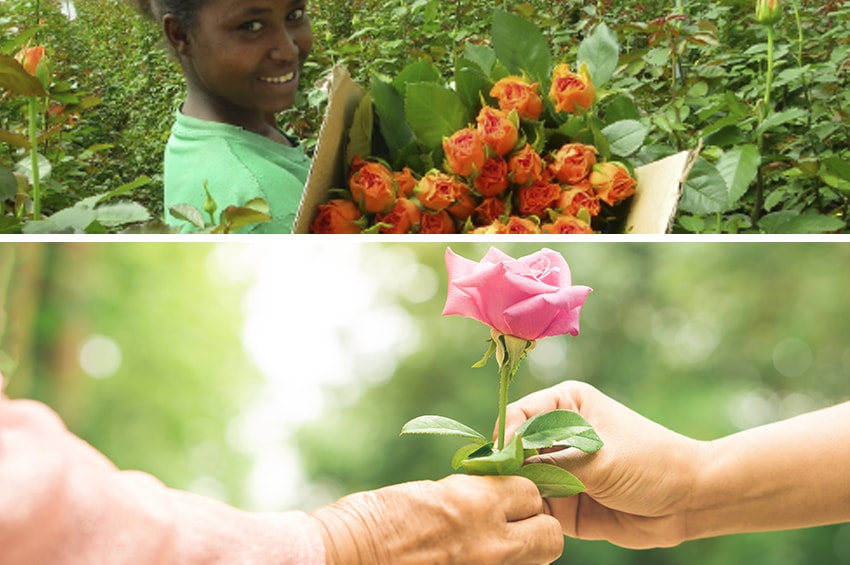 appuntamenti floricoltura sostenibile festa nonni 2020 min