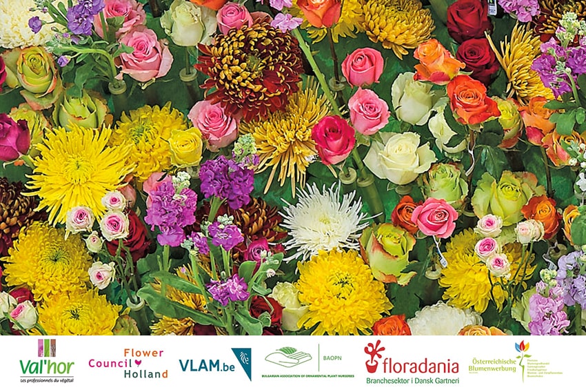 wwg coronavirus europa promo piante fiori min