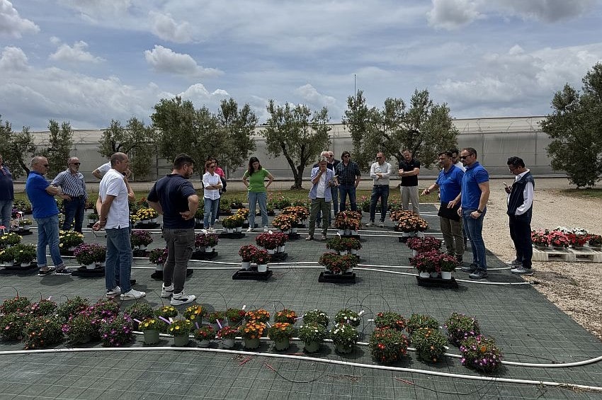 ap Lazzeri sales meet26 02 min