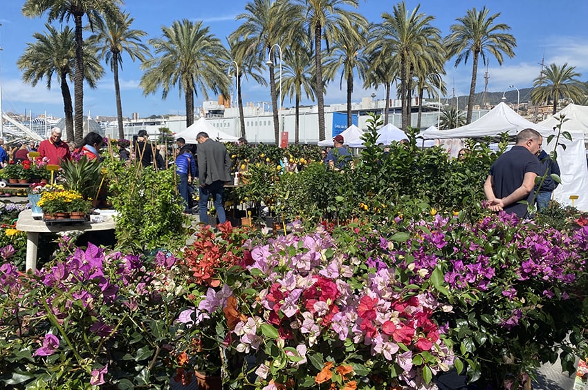 fm Porto Antico Verde min