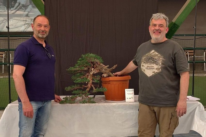 fn Arcobonsai25 Santini Maccioni min