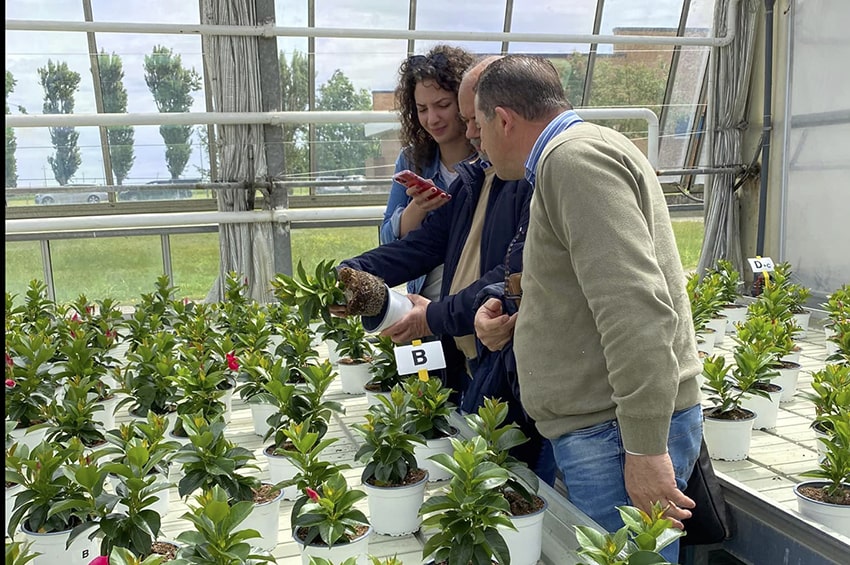 fn Centro Sperimentale Ortofloricolo Po Tramontana Veneto Agricoltura min