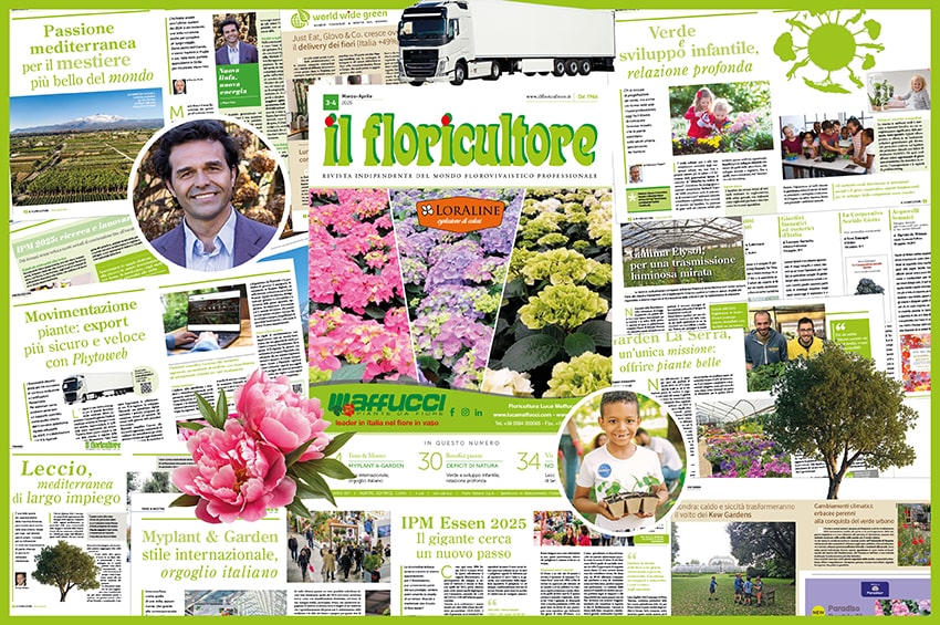 fn Il Floricultore 20250304 cover min