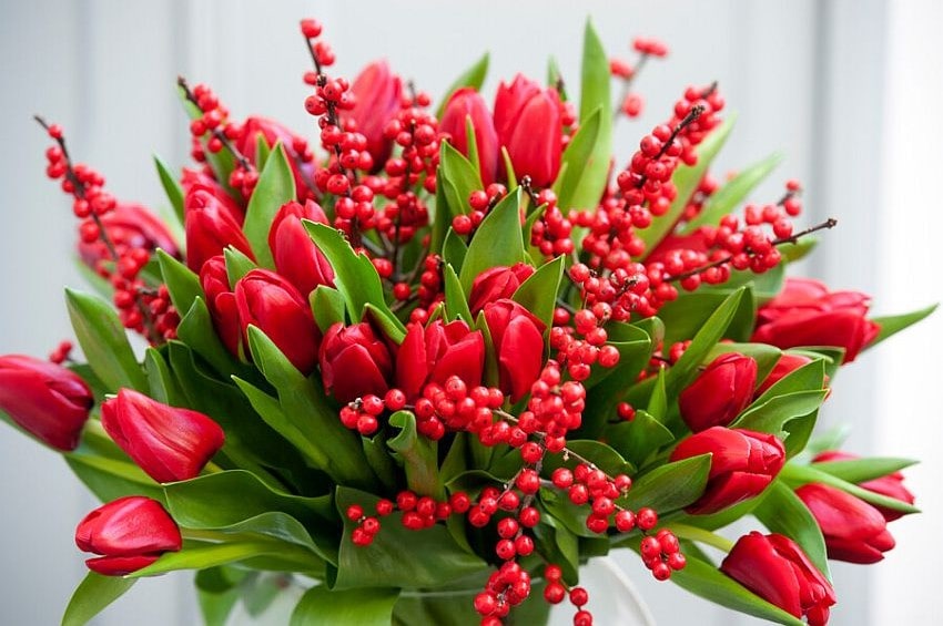 in Xmas25 3 iBulb min