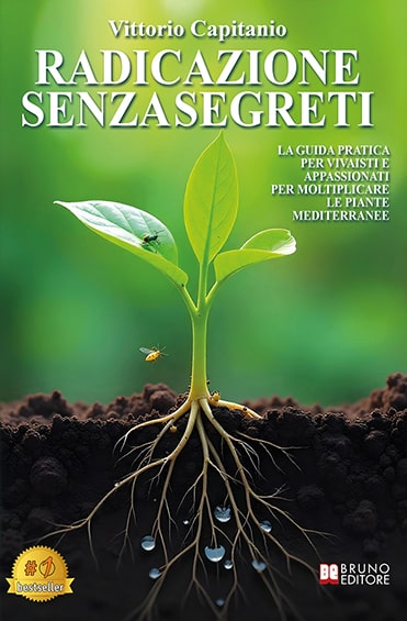 libri capitanio radicazione senza segreti cover min