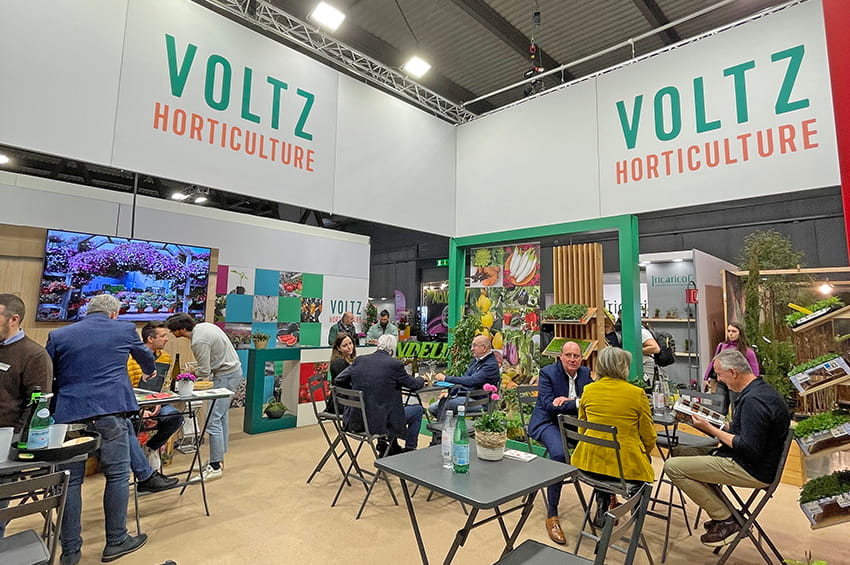 ap graines voltz myplant