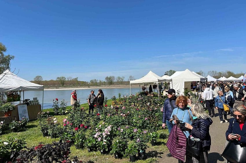 fm Emilia Georgica min