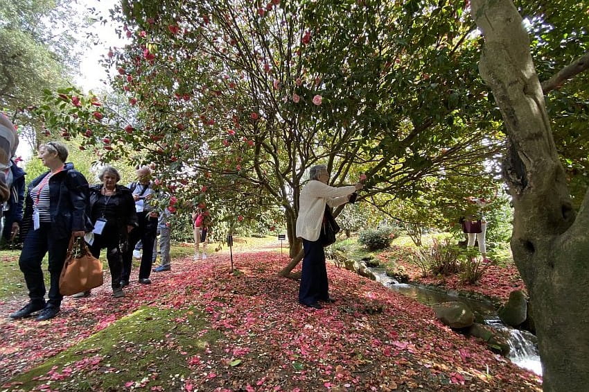 fm Villa Reale Marlia min