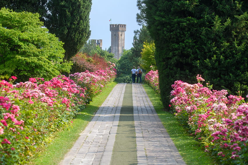 gp sigurta Viale delle Rose