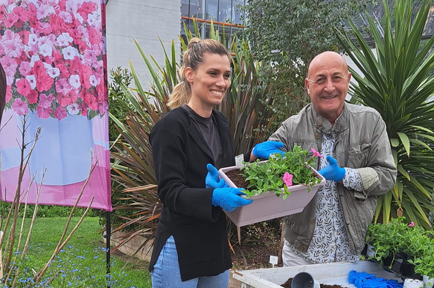 tm pianta anno 2024 calliari