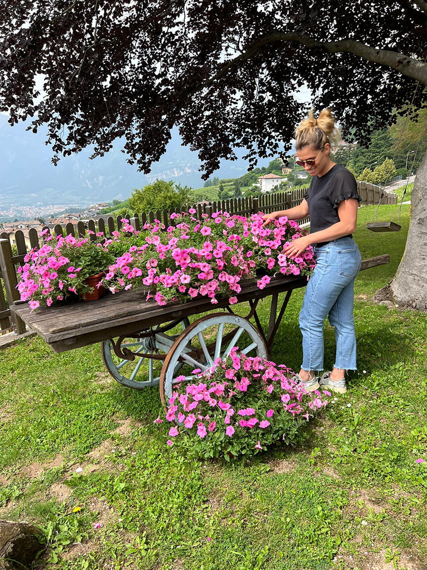 tm pianta anno 2024 madrina