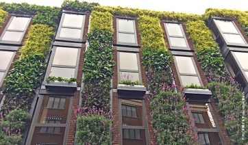 Milano sfida i cambiamenti climatici:  arrivano i contributi per tetti e pareti verdi