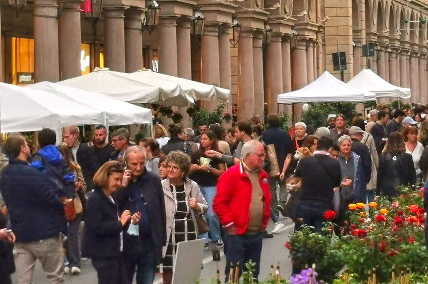 In Lucchesia al via la stagione delle Camelie 2026