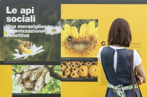 A Trento la mostra “Città a misura d’ape”