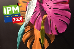 IPM ESSEN 2020 FLOWER DESIGN photo gallery