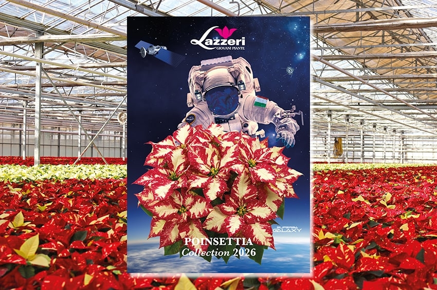 Passione, innovazione e visione: tutto nel Catalogo Poinsettie 2026 di Lazzeri