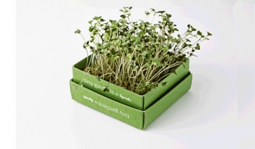 Tiny Gardens