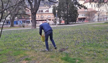 Merano: ruba fiori nei giardini pubblici e viene immortalato