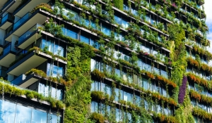 Città minacciate dai cambiamenti climatici un aiuto viene dal verde