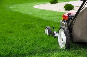 Macchine per il gardening: mercato giù del 19,6 per cento nel primo trimestre 2023
