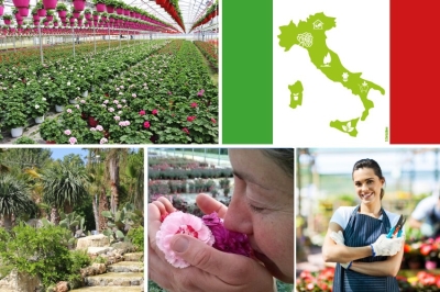 Florovivaismo italiano: nel 2022 produzioni nazionali oltre i 3,1 miliardi di Euro