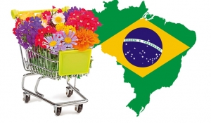 Brasile: supermercati, canale d’elezione per il verde
