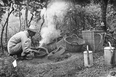 “Nei giardini di Hesse: tra compost, arte e consapevolezza”: la mostra dedicata allo scrittore che trovò risposte tra aiuole fiorite, cumuli di compost e alberi da frutto