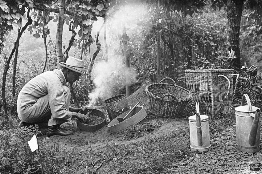 “Nei giardini di Hesse: tra compost, arte e consapevolezza”: la mostra dedicata allo scrittore che trovò risposte tra aiuole fiorite, cumuli di compost e alberi da frutto