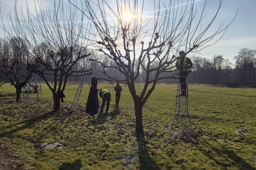 Scuola Agraria del Parco di Monza: al via il corso per “Addetti alla cura del verde”