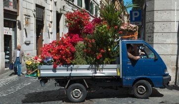 Liguria: parte il censimento delle imprese storiche (floricole comprese)