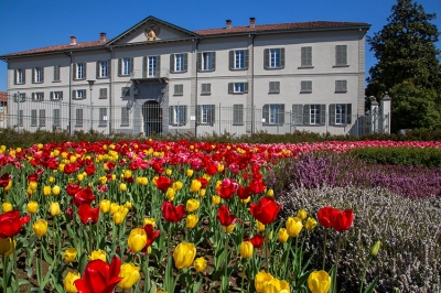 Elias Bordoli, presidente di Fondazione Minoprio: &laquo;Non siamo pi&ugrave; un Ente in difficolt&agrave; ma un asset strategico&raquo;