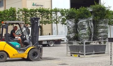 Cresce ancora l’export per il florovivaismo pistoiese