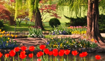 La fioritura più bella d’Italia? Secondo la rete è quella del Parco Giardino Sigurtà