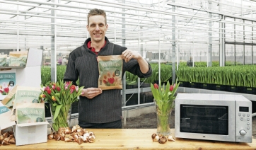 Pop Tulips, il &quot;pesce d&#039;Aprile&quot; dell&#039;Ufficio Olandese dei Fiori