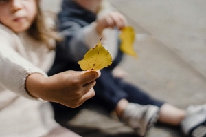 Appuntamenti a Verona: un libro sulla vegetazione dell&rsquo;Elba e un laboratorio creativo con materiali naturali