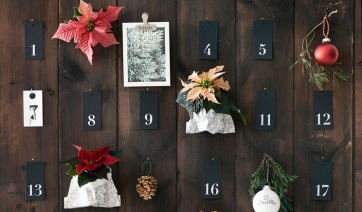 Dov’è la Stella di Natale? Nel Calendario dell’Avvento
