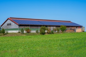 Agrivoltaico: nuovo bando da 250 milioni di Euro per il Mezzogiorno