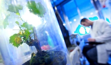 “Interfuture” punta sui bioagrofarmaci