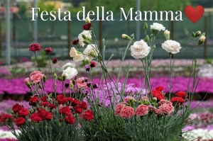 Festa della Mamma 2020: ora più che mai ditelo con i fiori