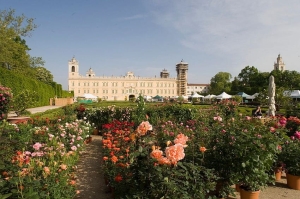 Visit Emilia, dove i fiori incontrano il buon vivere