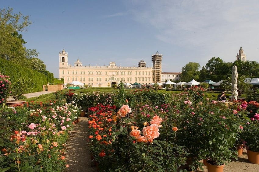 Visit Emilia, dove i fiori incontrano il buon vivere