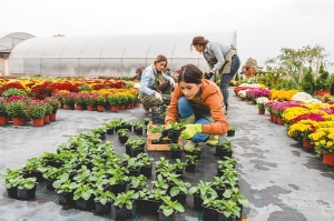 Rinnovo CCNL operai agricoli e florovivaisti, soddisfazione delle associazioni di categoria