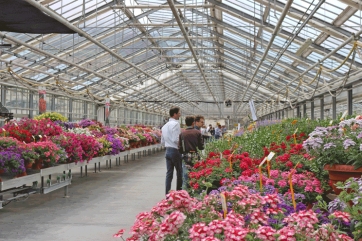 Fiori dall’Alto Adige, tutte le novità